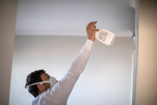 Best Mold Damage Repair  in Waialua, HI