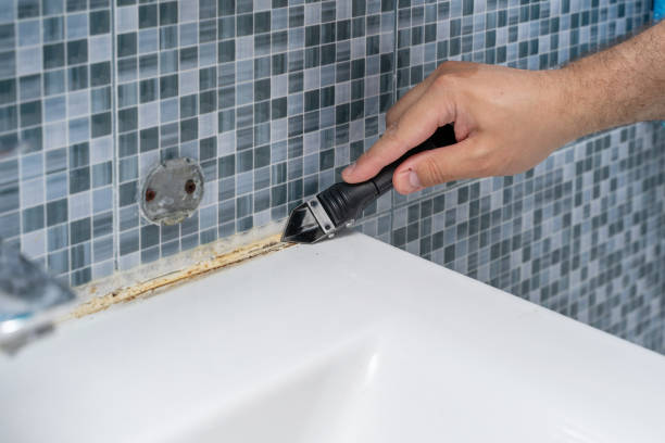 Best Mold Remediation Experts  in Waialua, HI