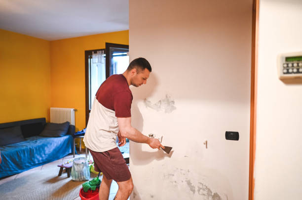 Best Professional Mold Removal  in Waialua, HI